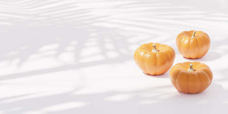 Pumpkins on white background for advertising on autumn holidays or sales, 3d banner renderの写真素材