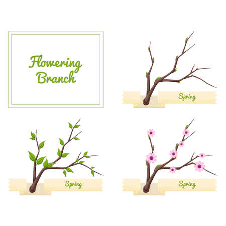 Flowering Branchのイラスト素材