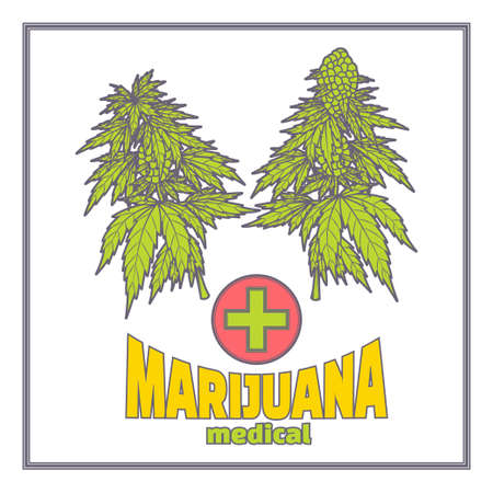 Bushes of medical marijuana and inscription. On a white background. With a frame and a cross.のイラスト素材