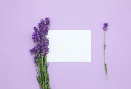 Bunch of fresh lavender. Violet flowers. Blank paper card mockup on lilac background. Greeting card. Top view. Flat lay. Copy space.の写真素材