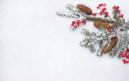 Winter flat lay. Christmas branches on a light snowy background. New year background.の写真素材