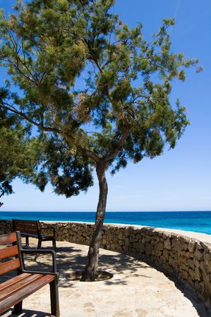 Sea view from the promenade of cala millorの写真素材