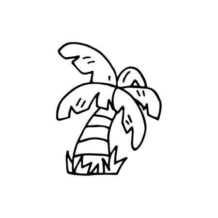 Handdrawn doodle palm icon. Hand drawn black sketch. Sign symbol. Decoration element. White background. Isolated. Flat design. Vector illustration.のイラスト素材