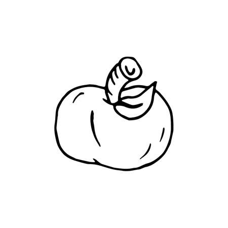 Handdrawn doodle apple icon. Hand drawn black sketch. Sign symbol. Decoration element. White background. Isolated. Flat design. Vector illustration.のイラスト素材
