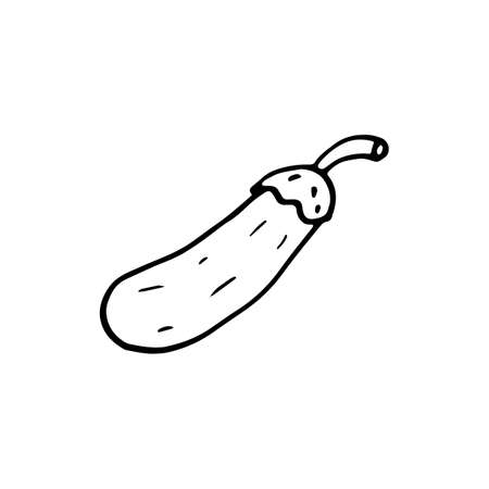 Handdrawn eggplant doodle icon. Hand drawn black sketch. Sign symbol. Decoration element. White background. Isolated. Flat design. Vector illustration.のイラスト素材