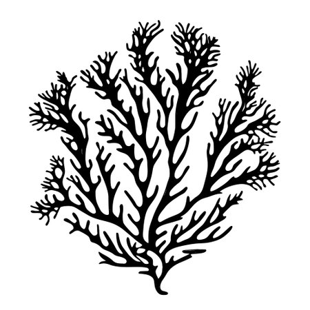 Hand drawn vector illustration - seaweed. Sketchのイラスト素材