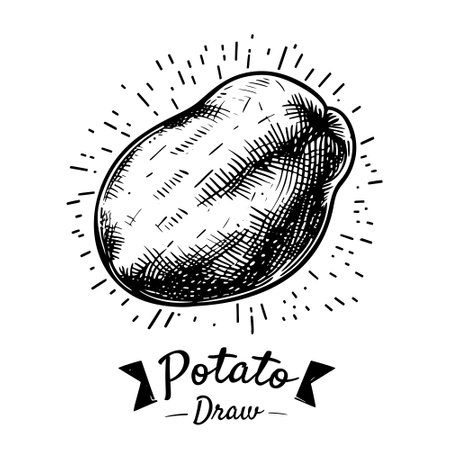 Potato hand drawn icon, logo design.のイラスト素材