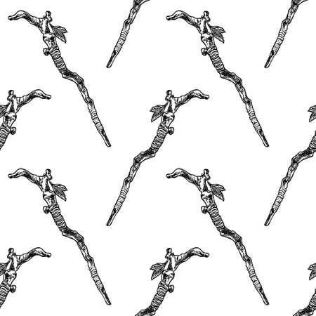 Wizard's staff hand drawn sketch. Seamless pattern.のイラスト素材