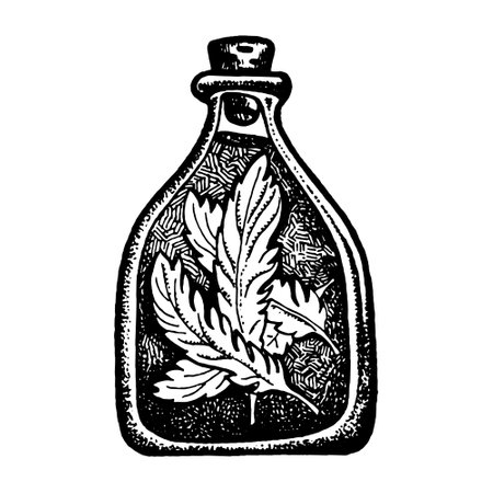 Hand drawn sketch potion jar with magic liquid. Old corked bottle and vial of poison, elixir, mixture and herbal tincture.のイラスト素材