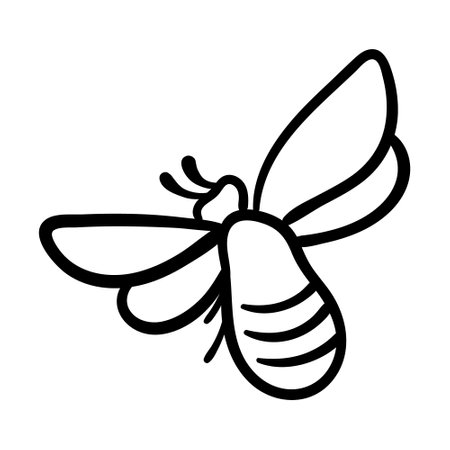 hand drawn vector illustration. Vector drawing of honeybee. Hand drawn insect sketch isolated on white. Engraving style bumble bee illustrations.のイラスト素材