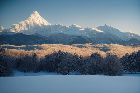 Mountain winter landscape, snowy fir trees. winter backgroundの写真素材