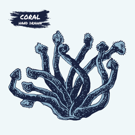Coral, seaweed sketch graphic element. Trendy coral reef under water. Color sketch engraved style. Hand drawing vector illustration isolated.のイラスト素材