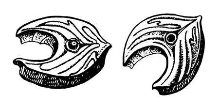 Hand drawn vector illustration of fish steaksのイラスト素材