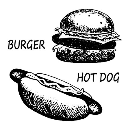 Hand drawn illustration of hamburger and hotdog. Set fast food.のイラスト素材