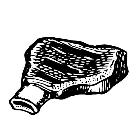 Hand drawn vector illustration of Beef, pork or lamb Red meat sketchのイラスト素材