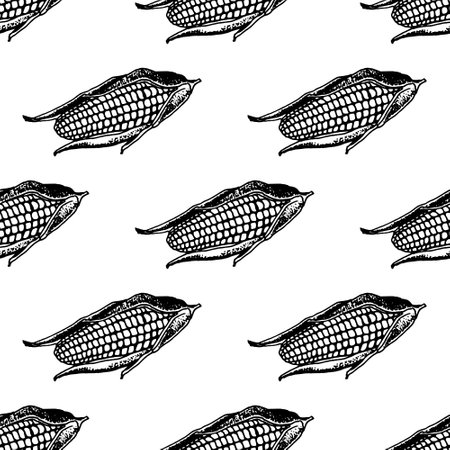Hand drawn seamless pattern of cornのイラスト素材