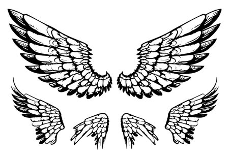 hand-drawn vector illustration collection of angel and bird wings sketches.のイラスト素材