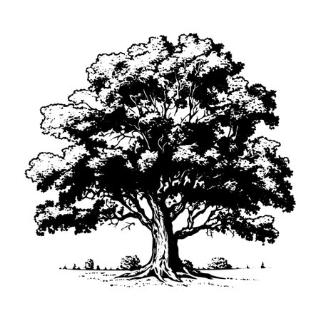 A realistic hand-drawn vector illustration of a tree in sketch style.のイラスト素材