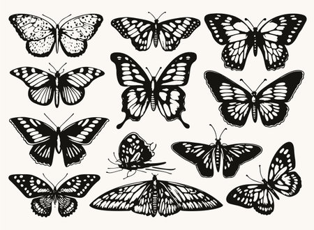 Vintage butterfly set for design. Vector illustration in classic style, black and white.のイラスト素材