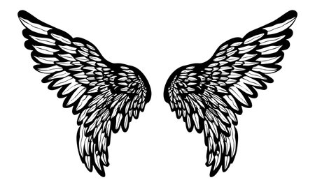 Hand-drawn vector sketch of angel and bird wingsのイラスト素材