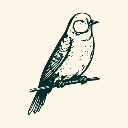 Vintage Bird Sketch - Ornithology Vector Illustration.のイラスト素材