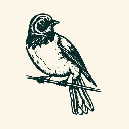 Vintage Bird Sketch - Ornithology Vector Illustration.のイラスト素材