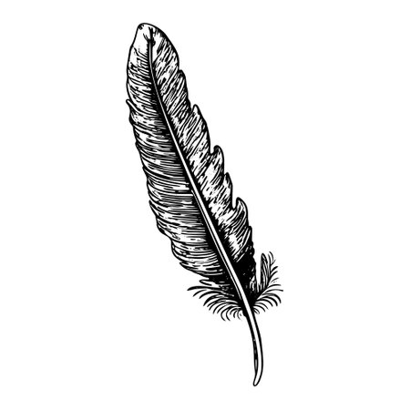 Vintage Feather Illustration - Black and White Vector Art.のイラスト素材