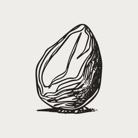 Vintage Engraved Stone - Black and White Vector Illustration.のイラスト素材