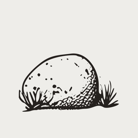 Vintage Engraved Stone - Black and White Vector Illustration.のイラスト素材