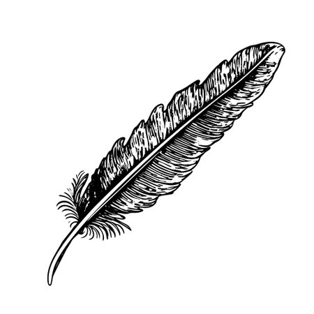 Vintage Feather Illustration - Black and White Vector Art.のイラスト素材