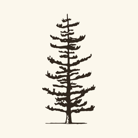 Silhouette of Evergreen Forest.のイラスト素材