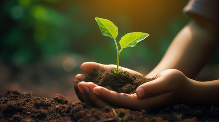 hand children holding young plant with sunlight on green nature background. concept eco earth day - Generative AI.の素材
