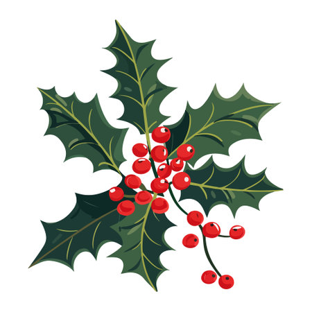 Christmas holly color in flat style, vector illustration. Icon hand drawn for design and print. Isolated symbol for xmas decoration.のイラスト素材