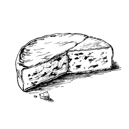 Tasty healthy fat Dutch brie segment on light backdrop. Freehand outline black ink hand drawn French cheeses emblem design in retro art doodle engrave print style pen on paper text space.のイラスト素材