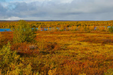 Autumn colorsの写真素材