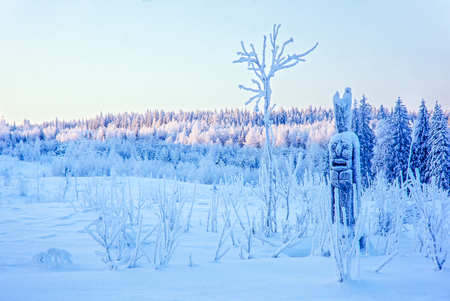 Forgotten totem in winter snowの写真素材
