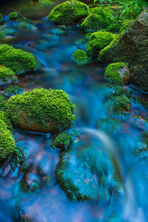 Mossy rocks with flowing water