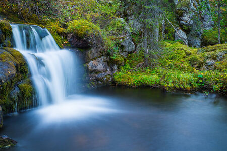 Waterfall in forestの写真素材