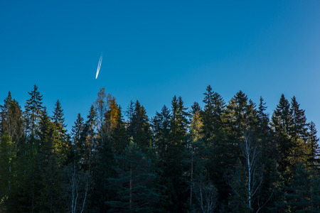 Forest landscape with plane in blue skyの写真素材