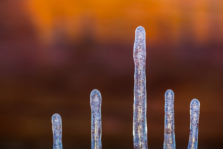 Iciclesの写真素材