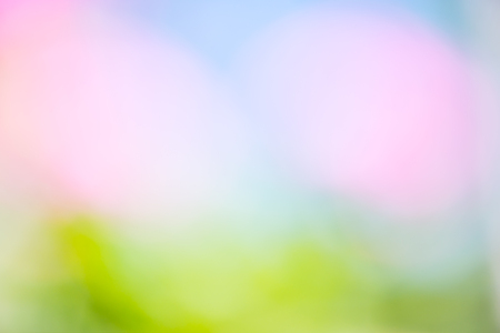 Blurry summer backgroundsの写真素材