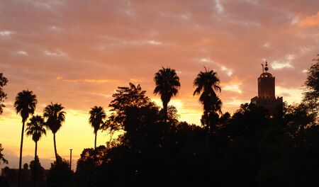 View of the trees and minaret around the Jamal El Fna square in Marrakech, Moroccoの写真素材