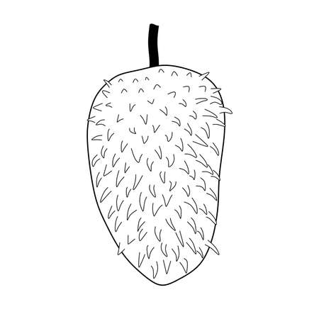 soursop fruit illustration. soursop fruit symbol isolated on white background.のイラスト素材