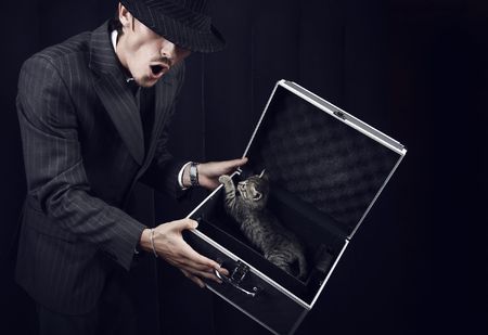 Businessman in grey suit holding open metal box with kitten in it. Photo.の写真素材