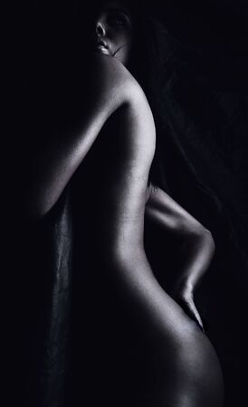 classical silhouette nude. Photo.の写真素材