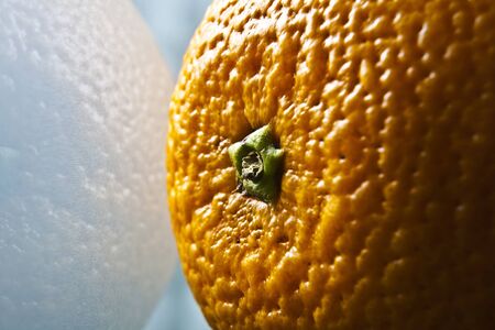 Orange の写真素材