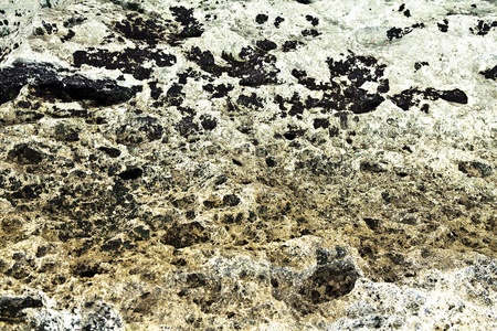 Grunge background of old stone texture  Photo  