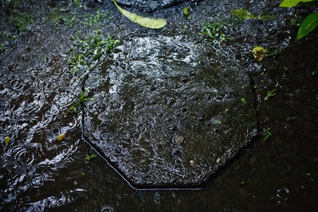 Grunge background of old stone texture  Photo  