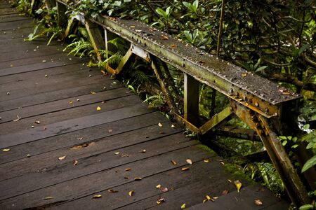 Amazing tropical landscape  Indonesia - Bali  の写真素材