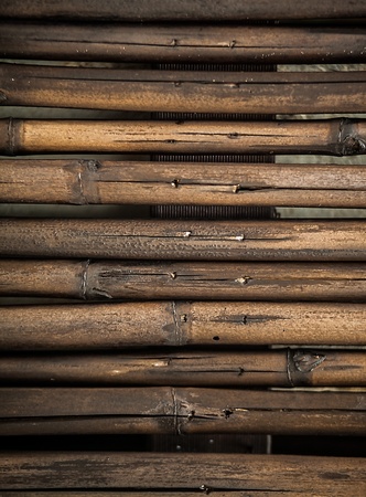 Bamboo background の写真素材
